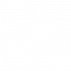 accident (2) PEDESTRIAN ACCIDENTS
